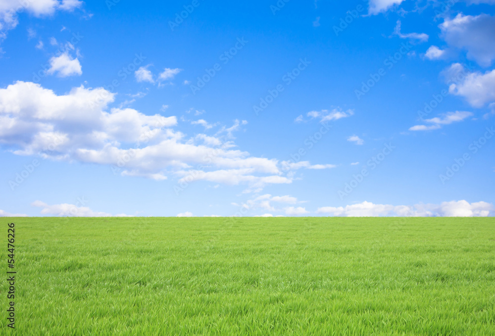 油彩画 青空と草原の風景 油彩画 青空と草原の風景 油彩画 青空と草原の風景 7,600点