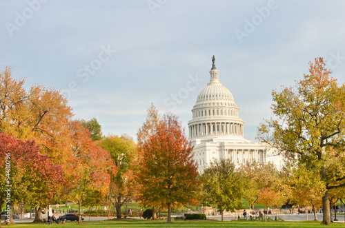 It's Autumn and how beautiful does New York look. We are currently recruiting IT