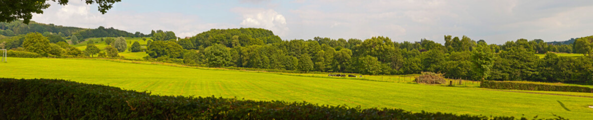 hill landscape with meadow and trees and blue cloudy sky. panora