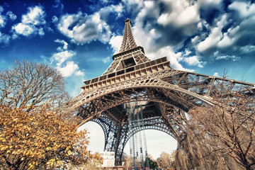 Canvas Print - Wonderful street view of Eiffel Tower and Winter Vegetation - Pa