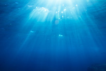 Underwater Shot With Sunrays And Fishes In Deep Tropical Sea