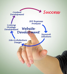 Canvas Print - website development