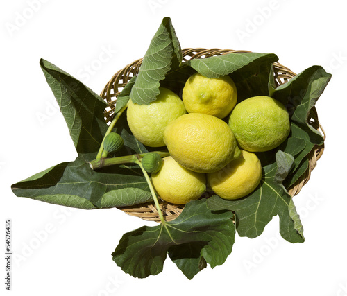 Cesta Di Limoni Con Foglie Di Fico Buy This Stock Photo And Explore Similar Images At Adobe Stock Adobe Stock