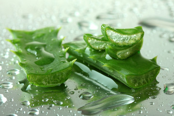 Wall Mural - Close up of aloe leaves with drops