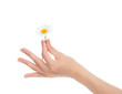 © Dmitry Lobanov - woman hand french manicure with chamomile daisy flowers