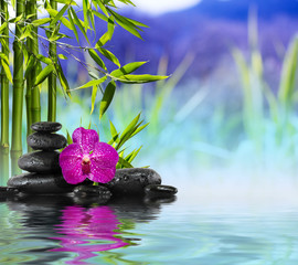 Fotomurales - Purple Orchid, Stones and Bamboo on the water