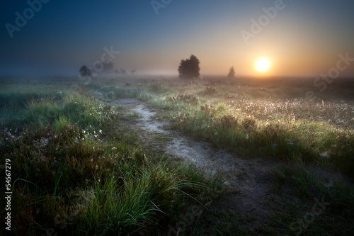 Nowoczesny obraz na płótnie misty sunrise over countryside path