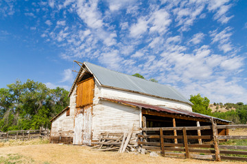 Fototapete - Barn