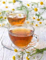 Wall Mural - chamomile tea