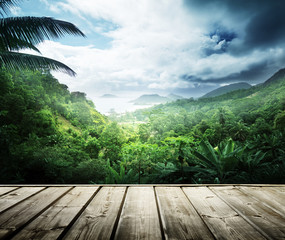 Wall Mural - caribbean sea and perfect sky