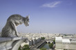 © Tim Glass - gargoyle - Notre Dame - Paris France