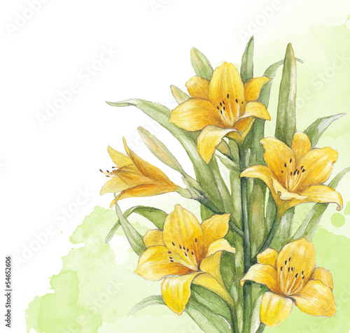 Obraz w ramie Watercolor lily flower. Perfect for invitation of greeting card