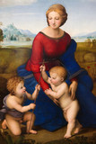 Fototapeta Nowy Jork - Madonna of the Meadow by Raphael (1505)