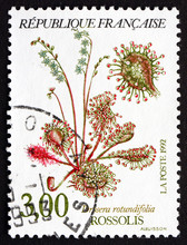 Postage Stamp France 1992 Common Sundew, Carnivorous Plant