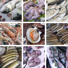 Wall Mural - set of images showcases the fishmarket