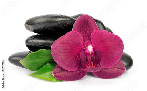 Tapeta ścienna Orchidea na czarnych kamieniach
