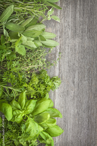 Naklejka na szybę Fresh herbs