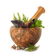 Herbs in wooden mortar