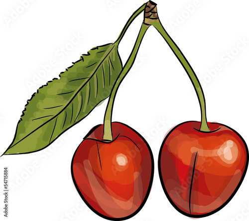kirsche gemalt kirschen – Stock-Vektorgrafik | Adobe Stock