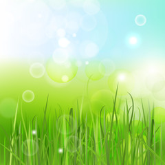 Wall Mural - 03_Green_beams_background