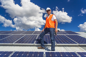 Wall Mural - Solar panels with technician