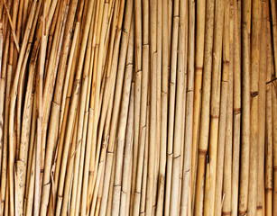  bamboo background