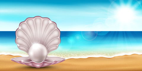 Wall Mural - shell beach