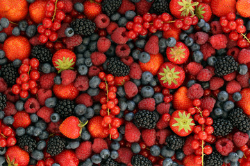 Fototapete - Beeren Früchte