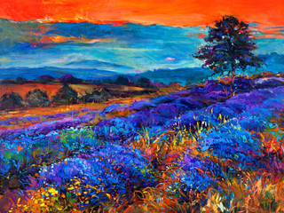 Lavender fields