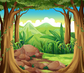 Wall Mural - Rocks at the forest