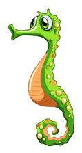 A Green Seahorse