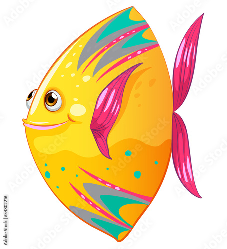 Naklejka dekoracyjna A big colorful fish