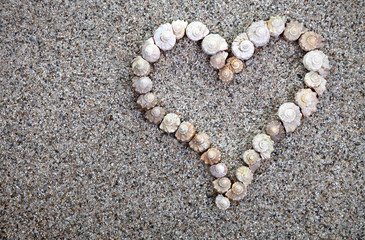 Sea shells Heart