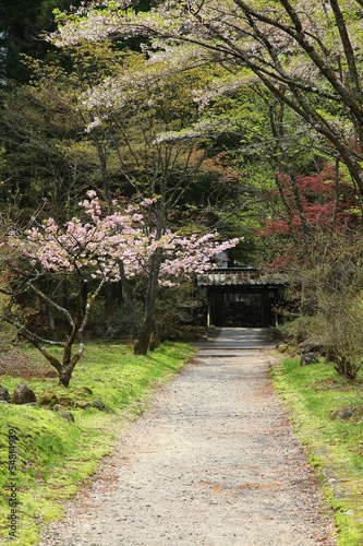 Tapeta ścienna Park w Japonii