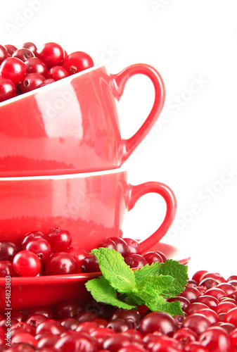 Tapeta ścienna na wymiar Ripe red cranberries in cups, isolated on white.