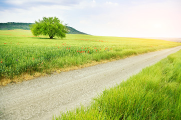 Poster - Road lane and deep cloudy sky.