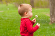 © Solid photos - Cute little boy blowing dandelion in the park