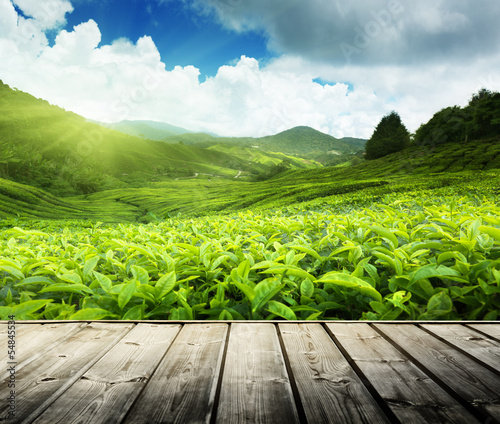 Board z aluminiowym obramowaniem Podłogi z drewna na plantacji herbaty Cameron Highlands, Malezja