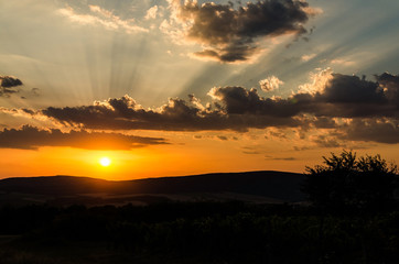 Wall Mural - sunset background