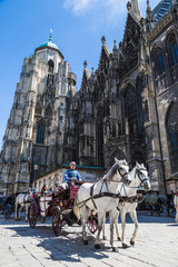 Horse-drawn Carriage in Vienna at the famous Stephansdom Cathedr