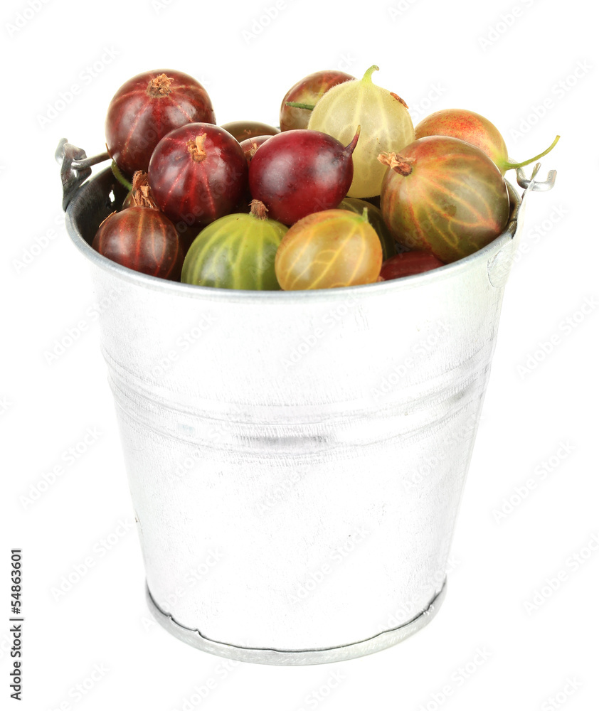 Fresh gooseberries in bucket isolated on white