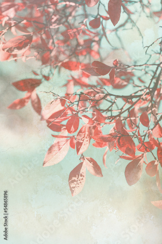 Fototapeta do kuchni Beautiful grunge autumnal background