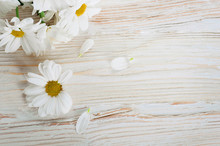 A Bouquet Of White Daisies, Wildflowers