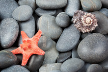 Background Of Pebbles With Starfish
