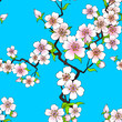 Pattern of cherry blossom
