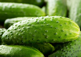 cucumbers