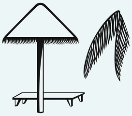 Wall Mural - Palm leaf and beach umbrella isolated on blue background