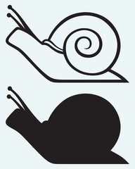 Wall Mural - Snail isolated on blue background