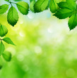 © Lilya - spring background