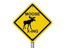 Use Caution Moose Are Present